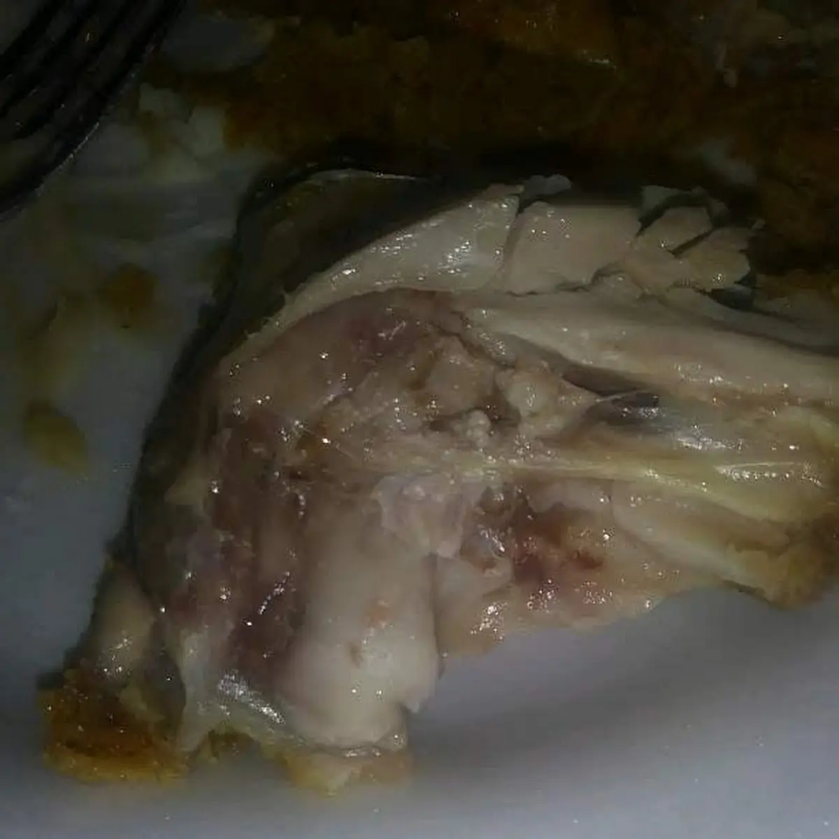 Raw Fried Chicken