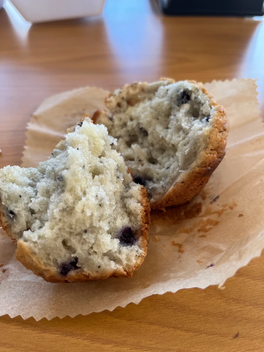 Blueberry Muffin