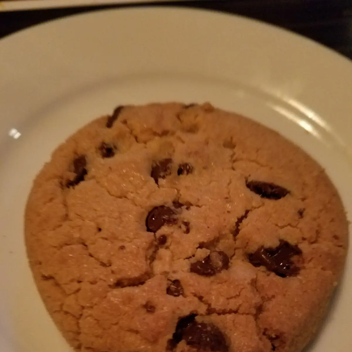 Chocolate Chip Cookie