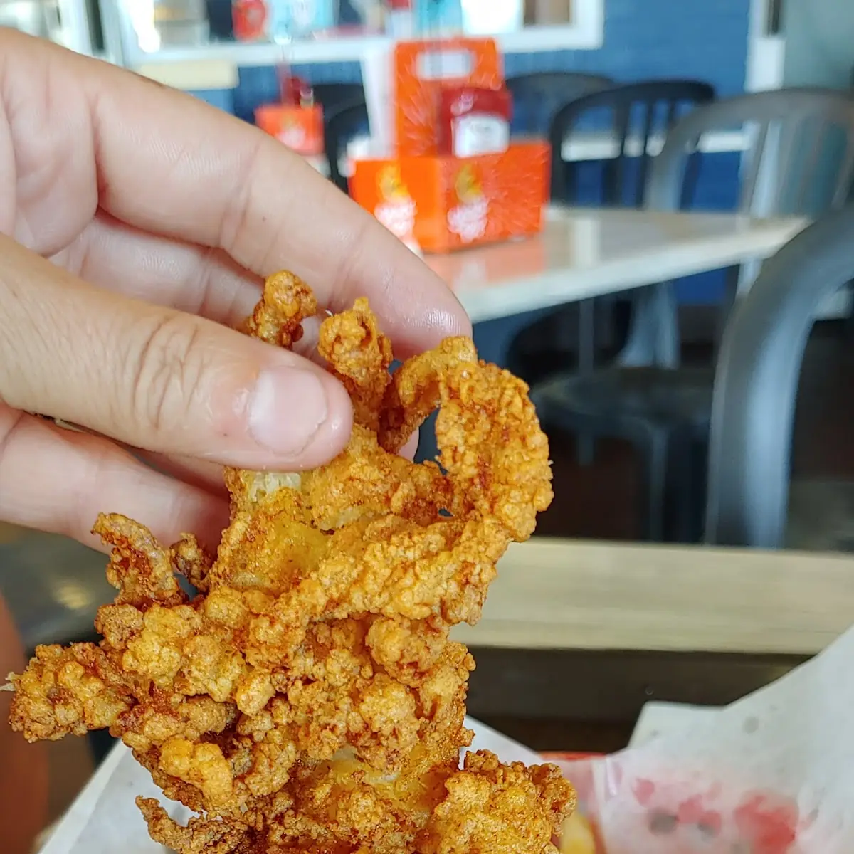 Fried Clam Strips and Scallops