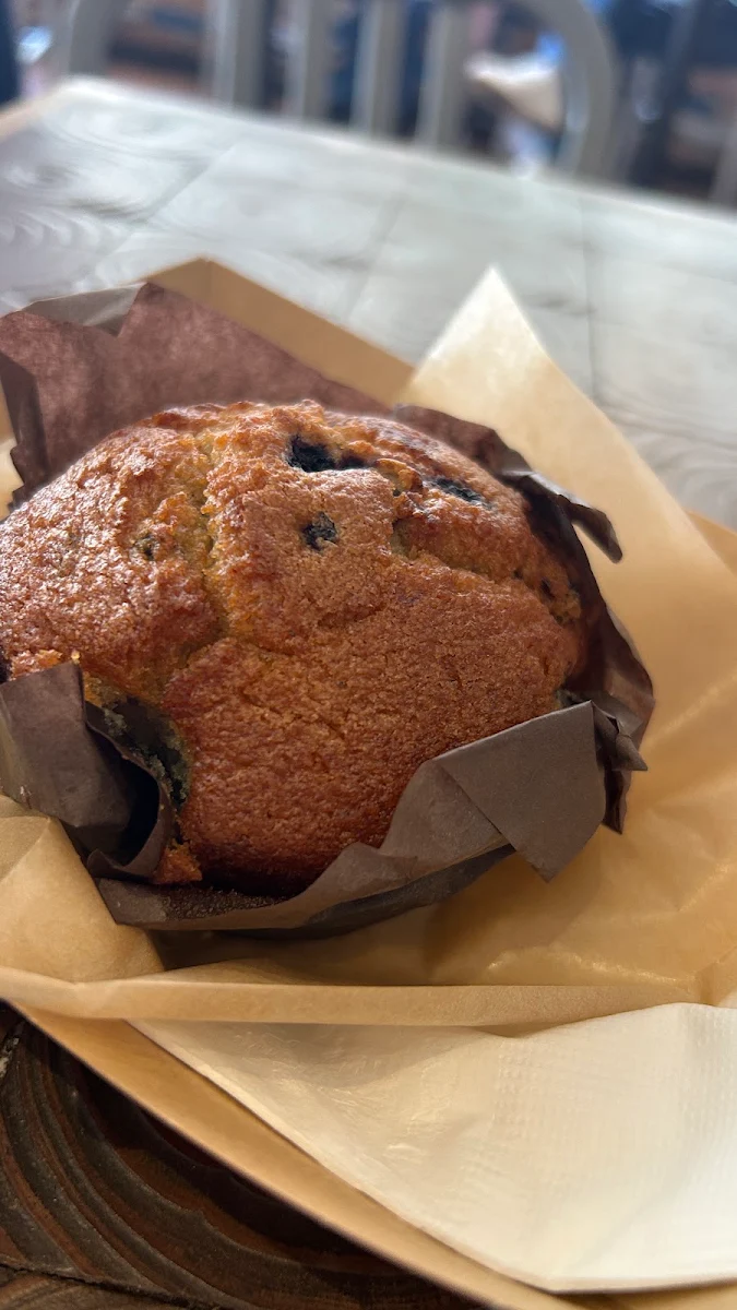 Blueberry Muffin