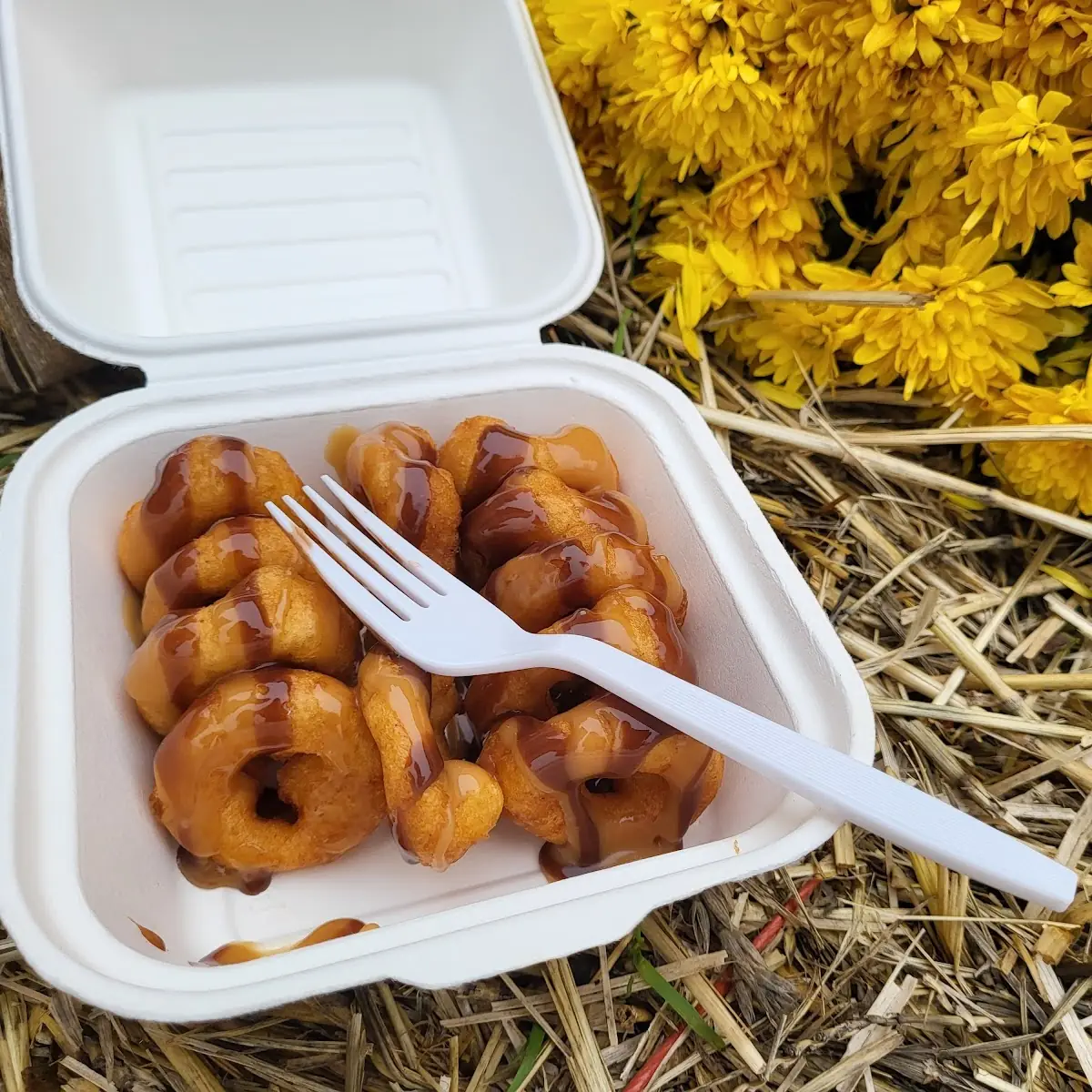 Maple Chocolate Glazed Mini Vanilla Doughnuts