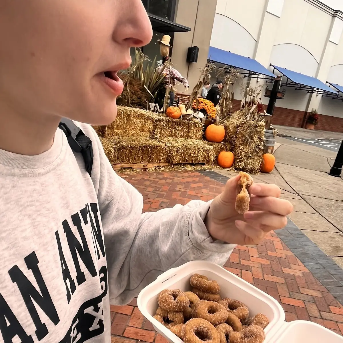 Pumpkin Spice Doughnuts