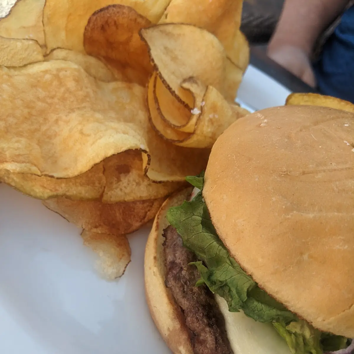 Jalapeno Burger with Homemade Potato Chips
