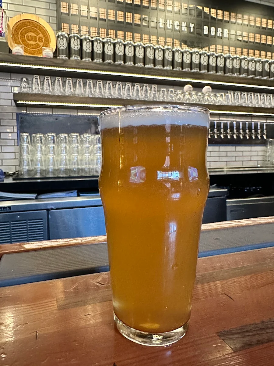 Pistachio Cream Ale