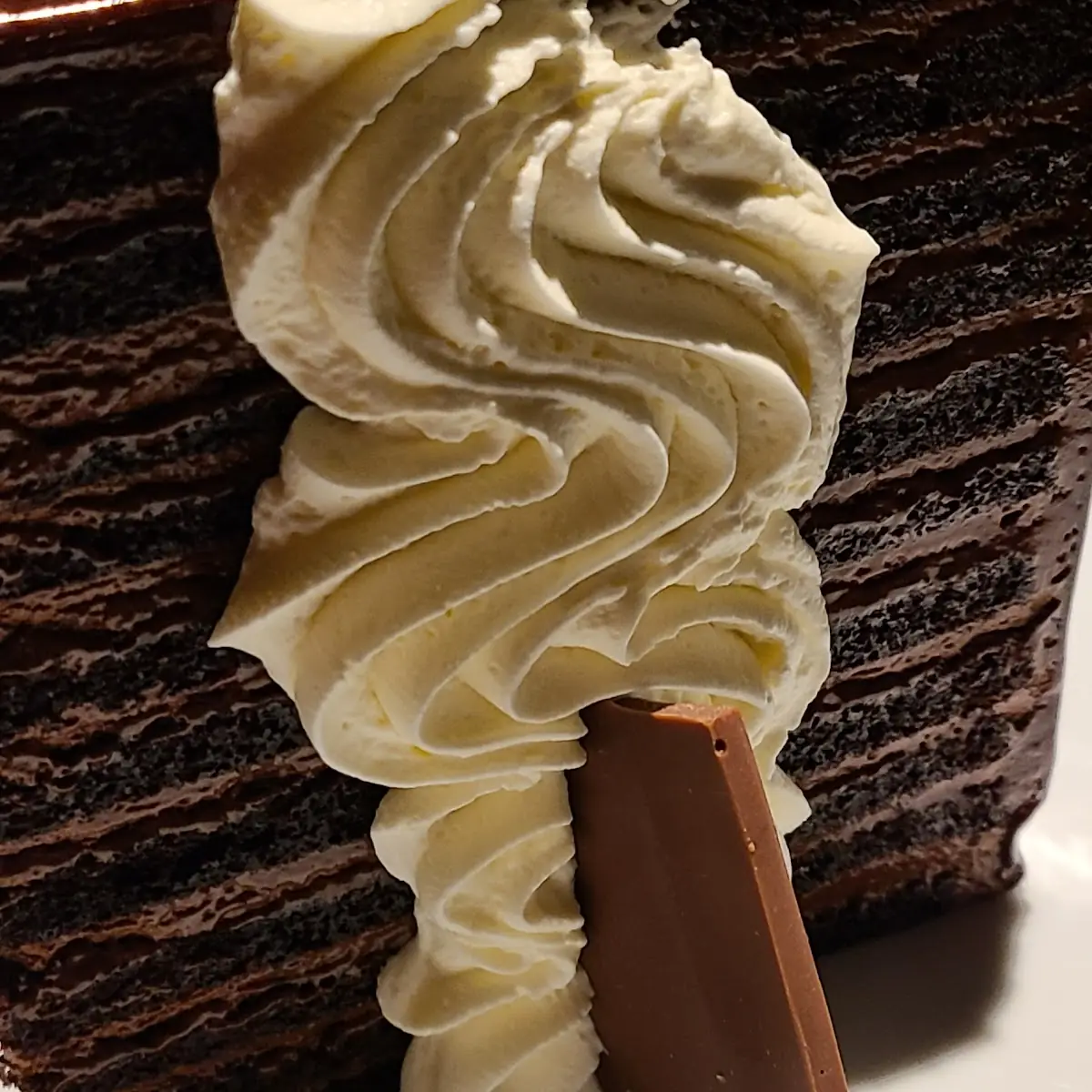 23 Layer Chocolate Cake Really