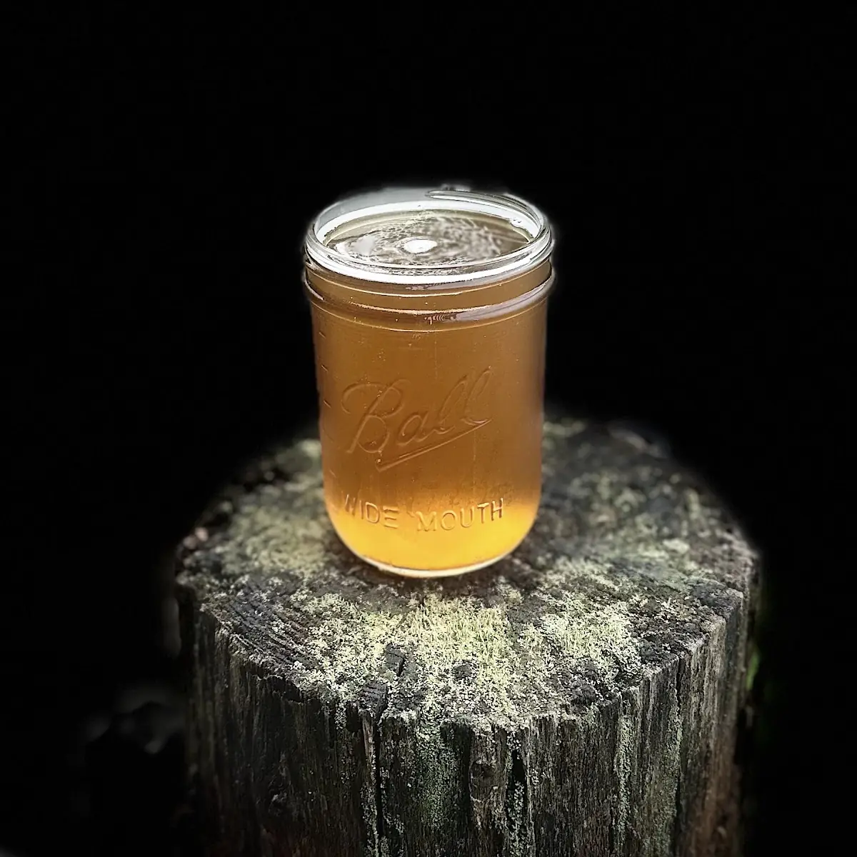 Apple Pie Moonshine