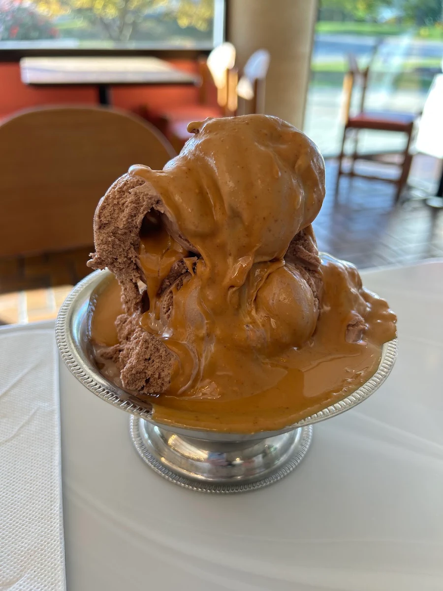 Chocolate Ice Cream