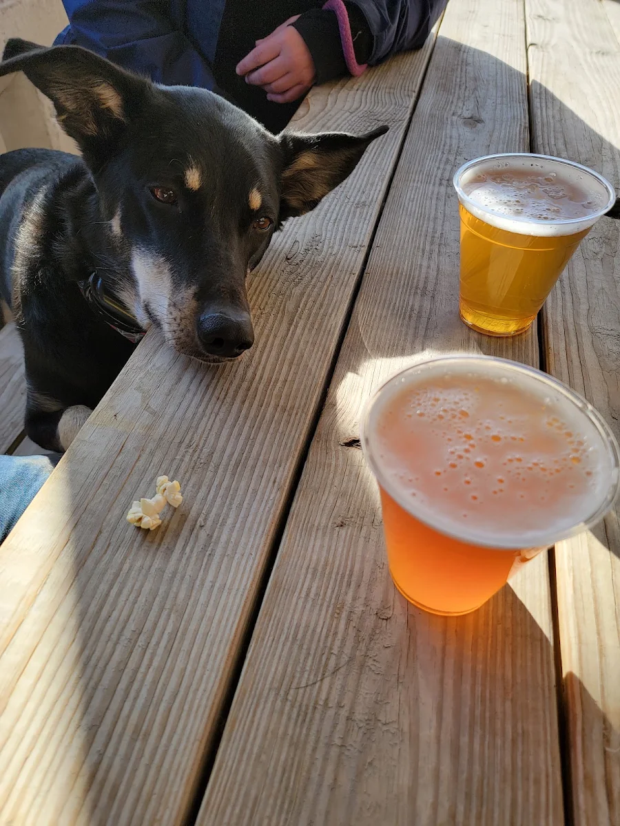 Marley Special, Chronicle Brewing Company