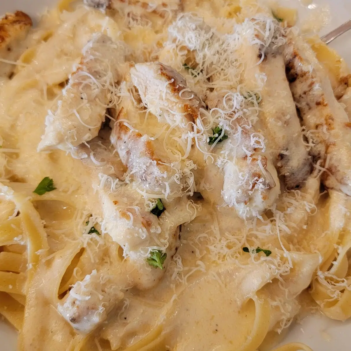 Chicken Alfredo