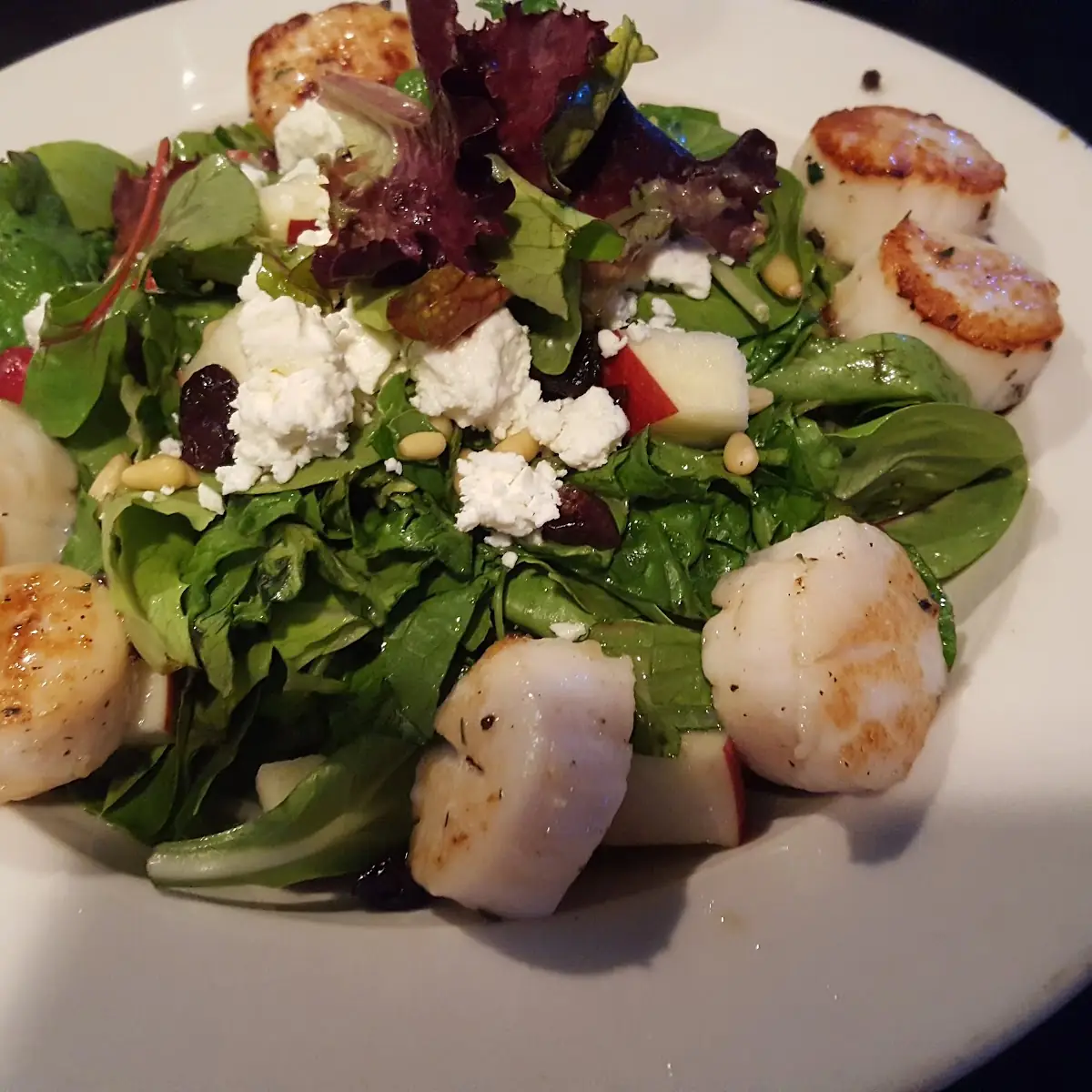 Sea Scallops