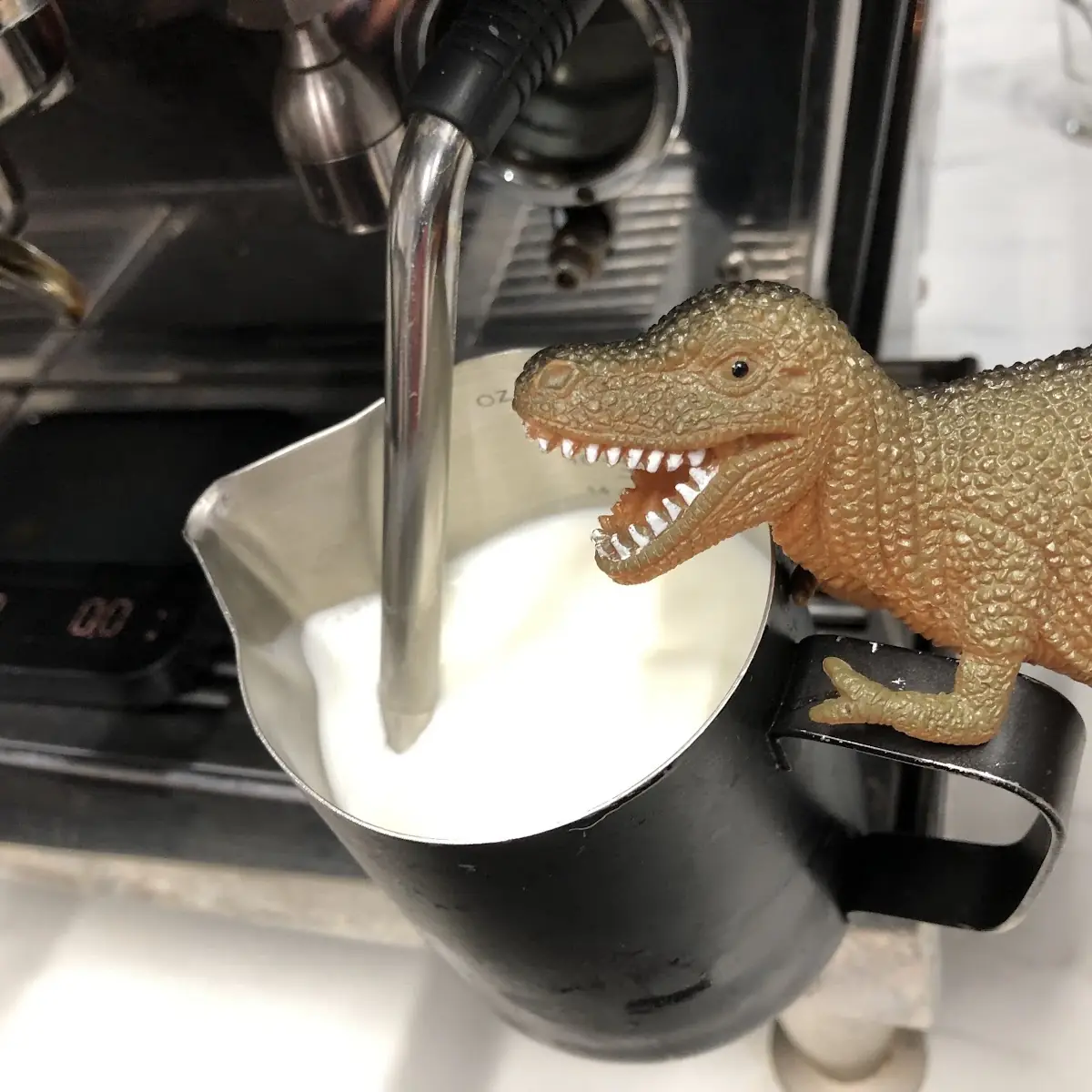 Steamed Milk