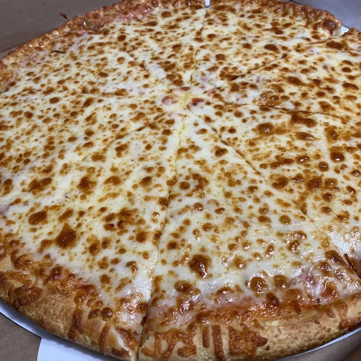Large Cheese Pizza