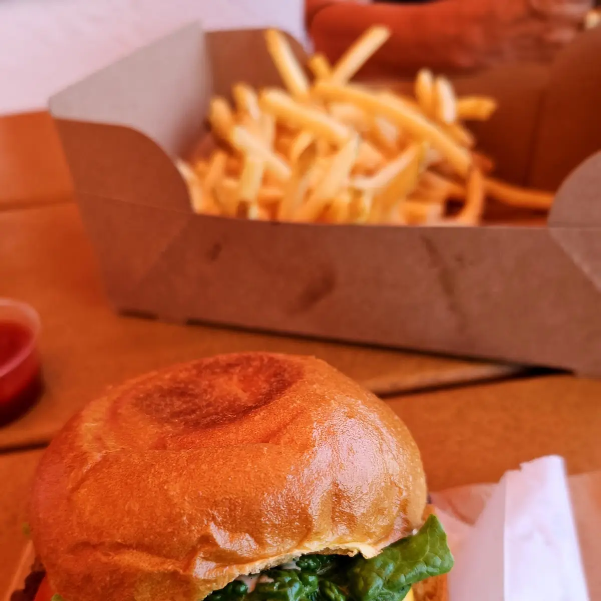 Cheese Burger and Fries