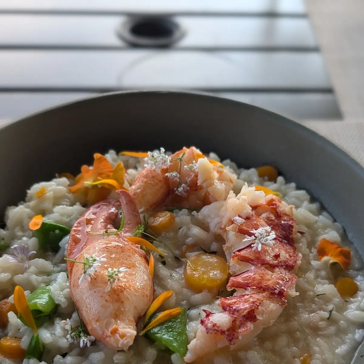 Lobster Risotto