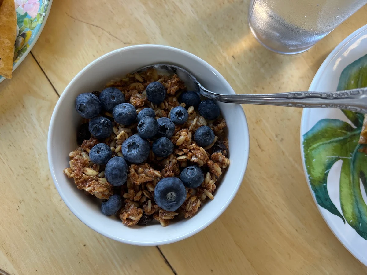 Yogurt Granola with Berries
