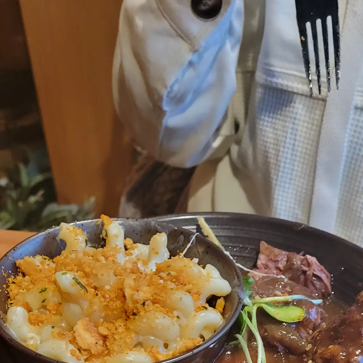 Charred Oak Whiskey Smoked Short Rib Mac N Cheese