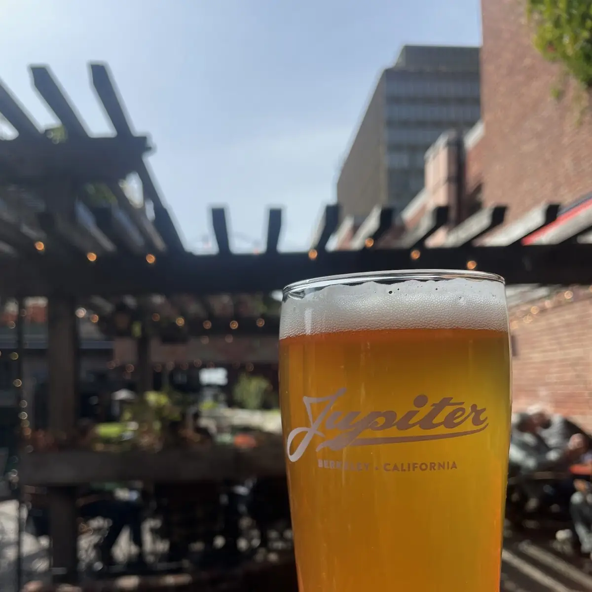 West Coast IPA and an Amber Beer