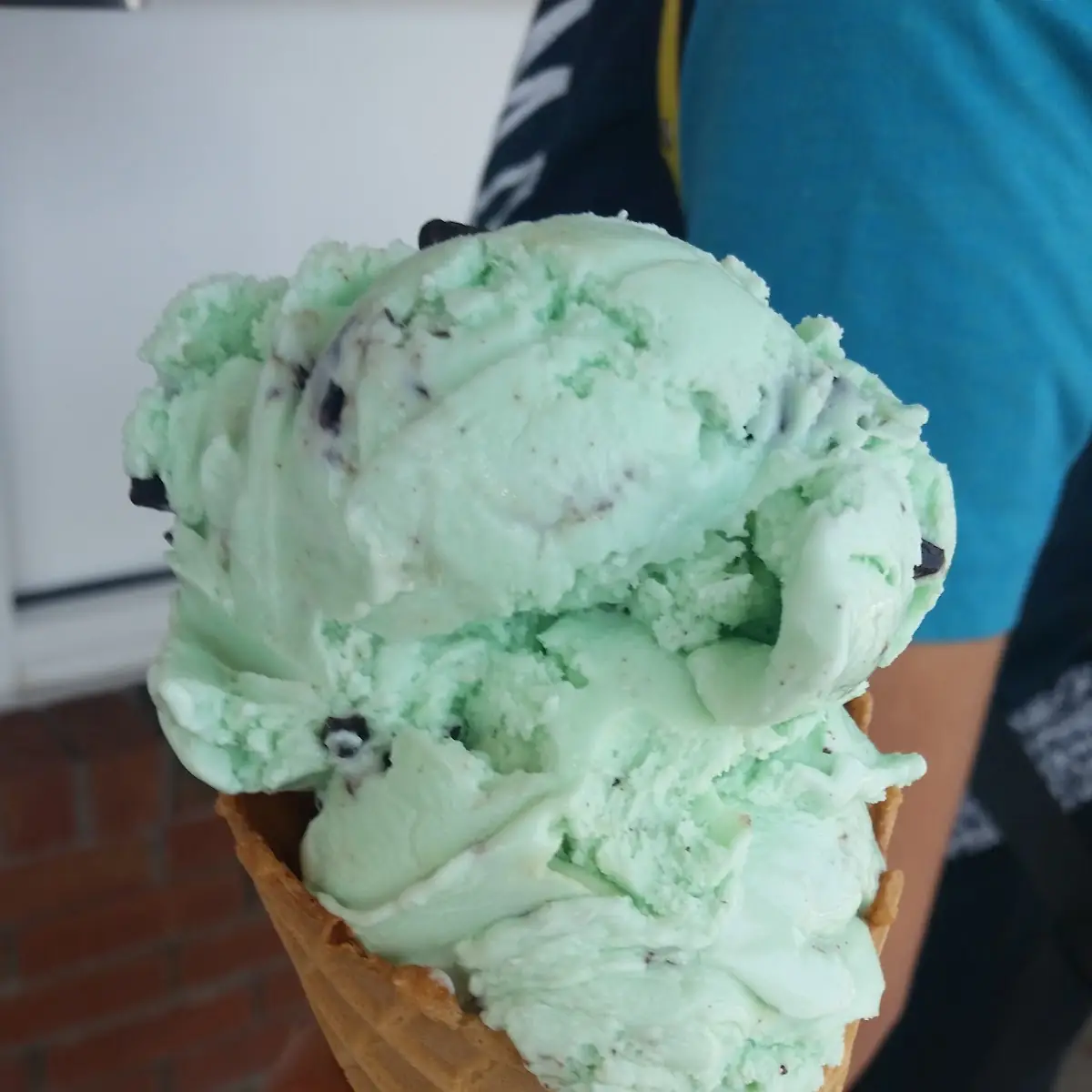 Chocolate Chip