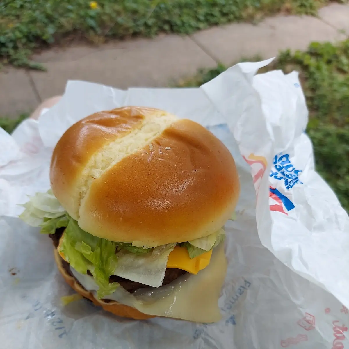 1 2 Pound Cheeseburger Combo