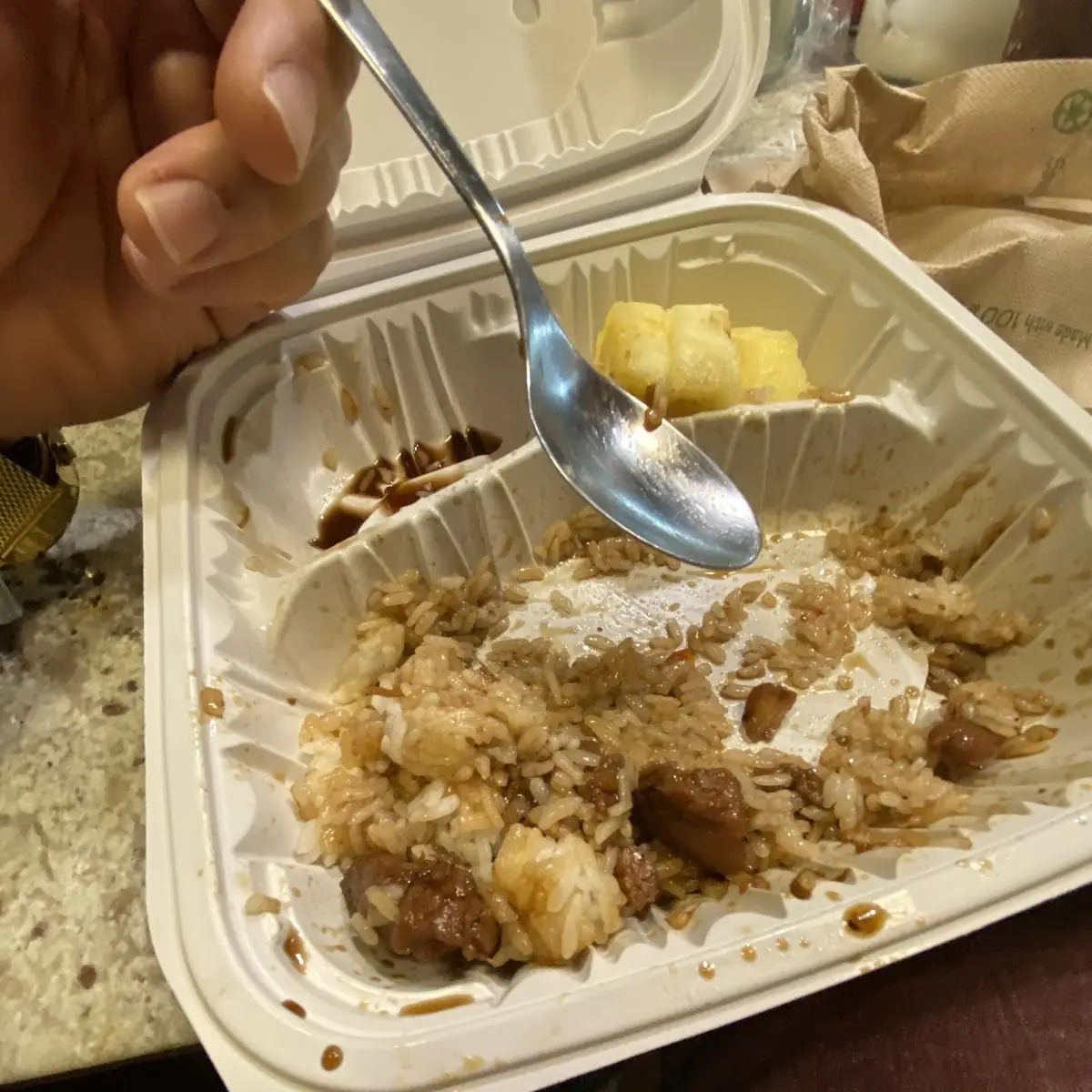 Teriyaki Chicken Dinner with Rice