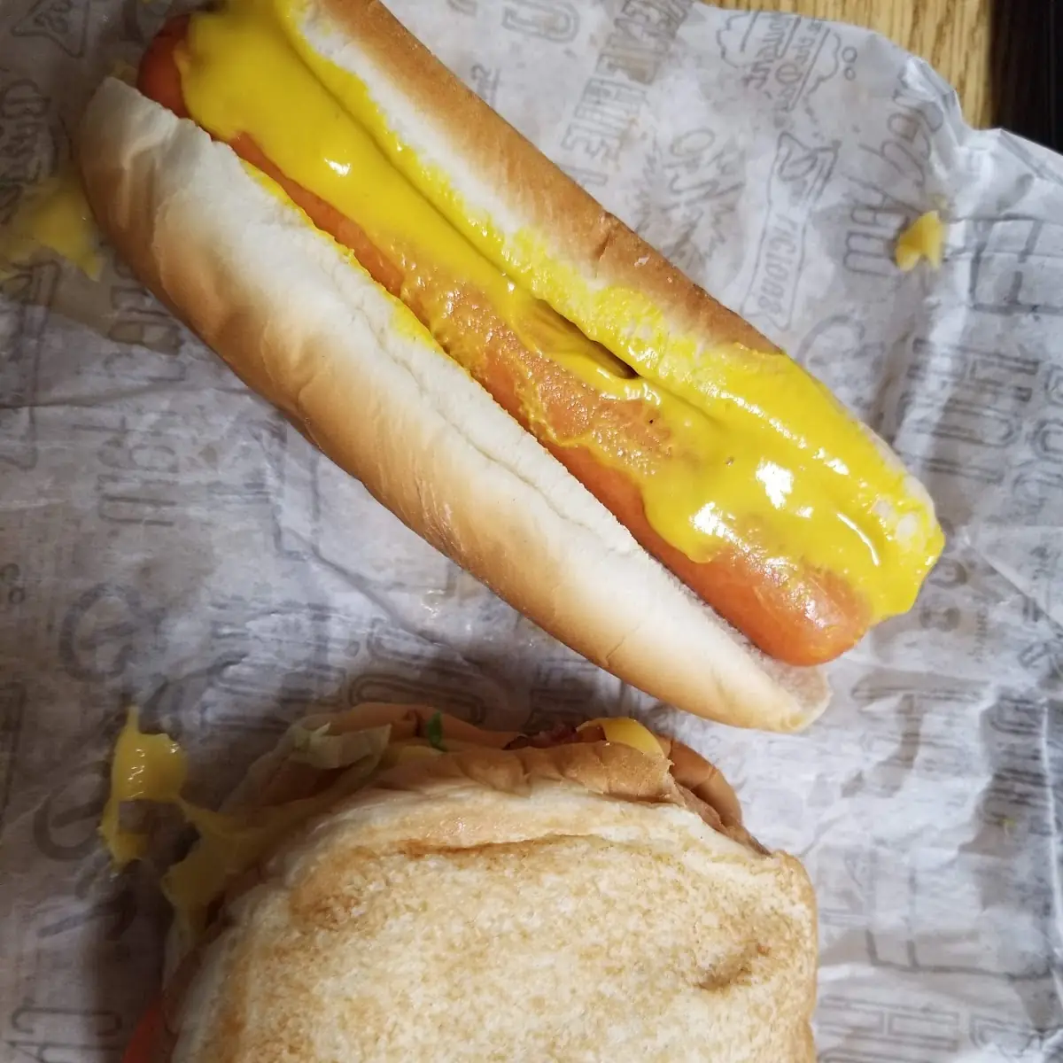 Toasted Cheese and Hot Dog