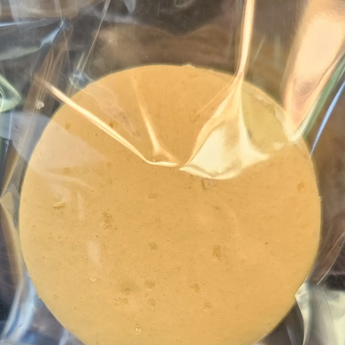 Salted Caramel French Macaron