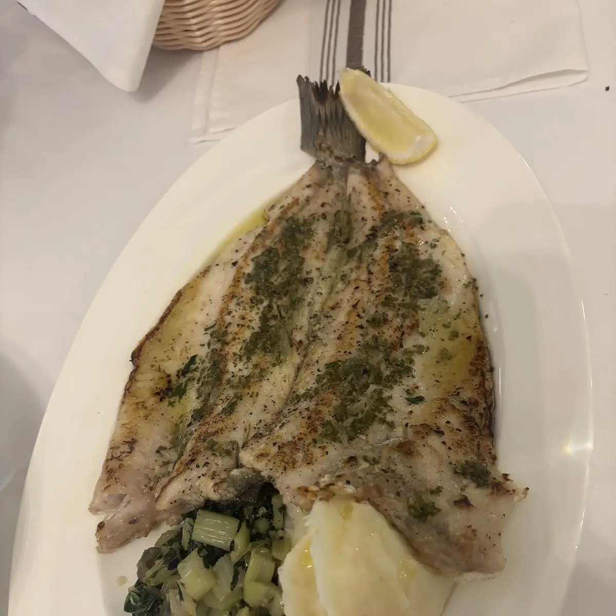 Sea Bass