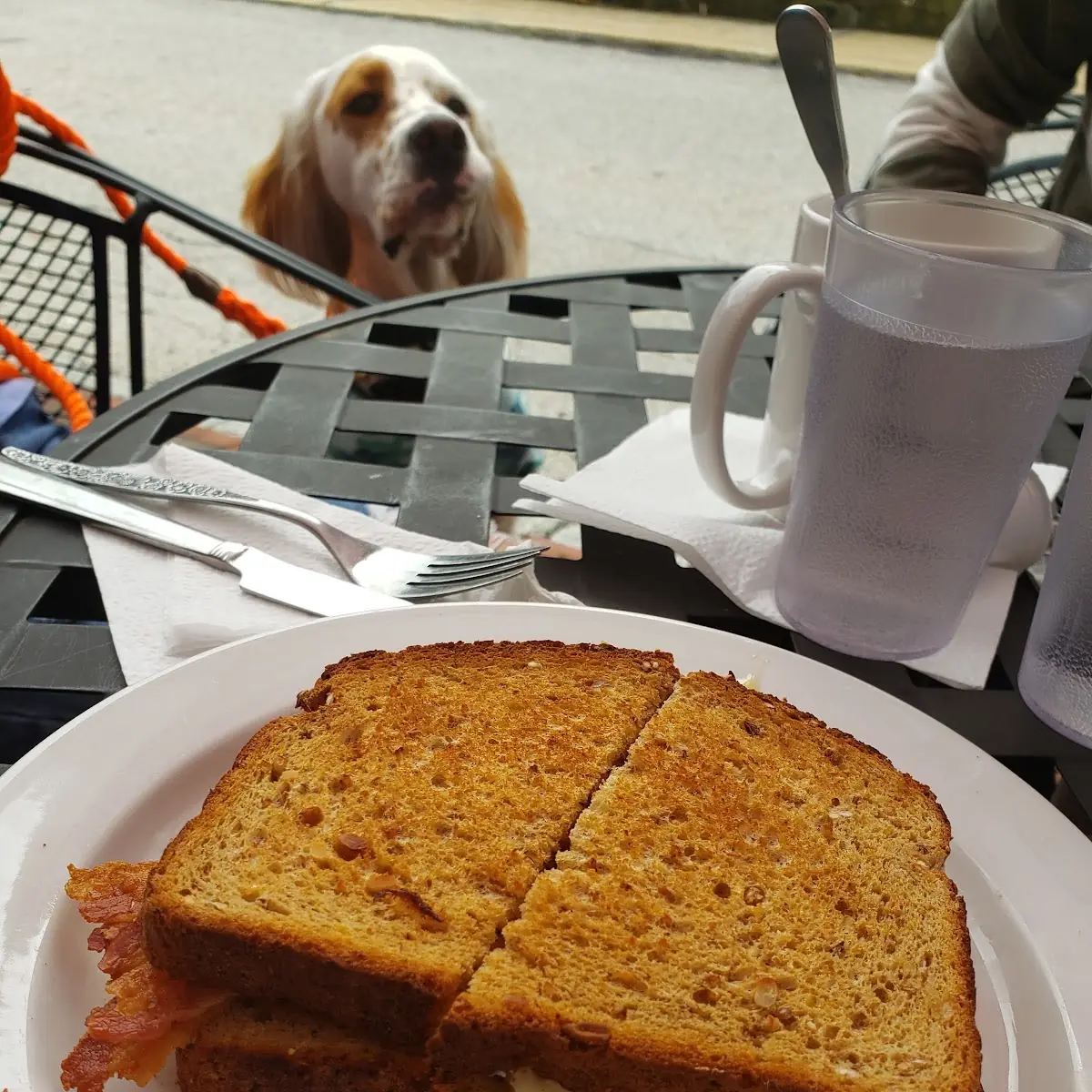 Bacon Egg and Cheese