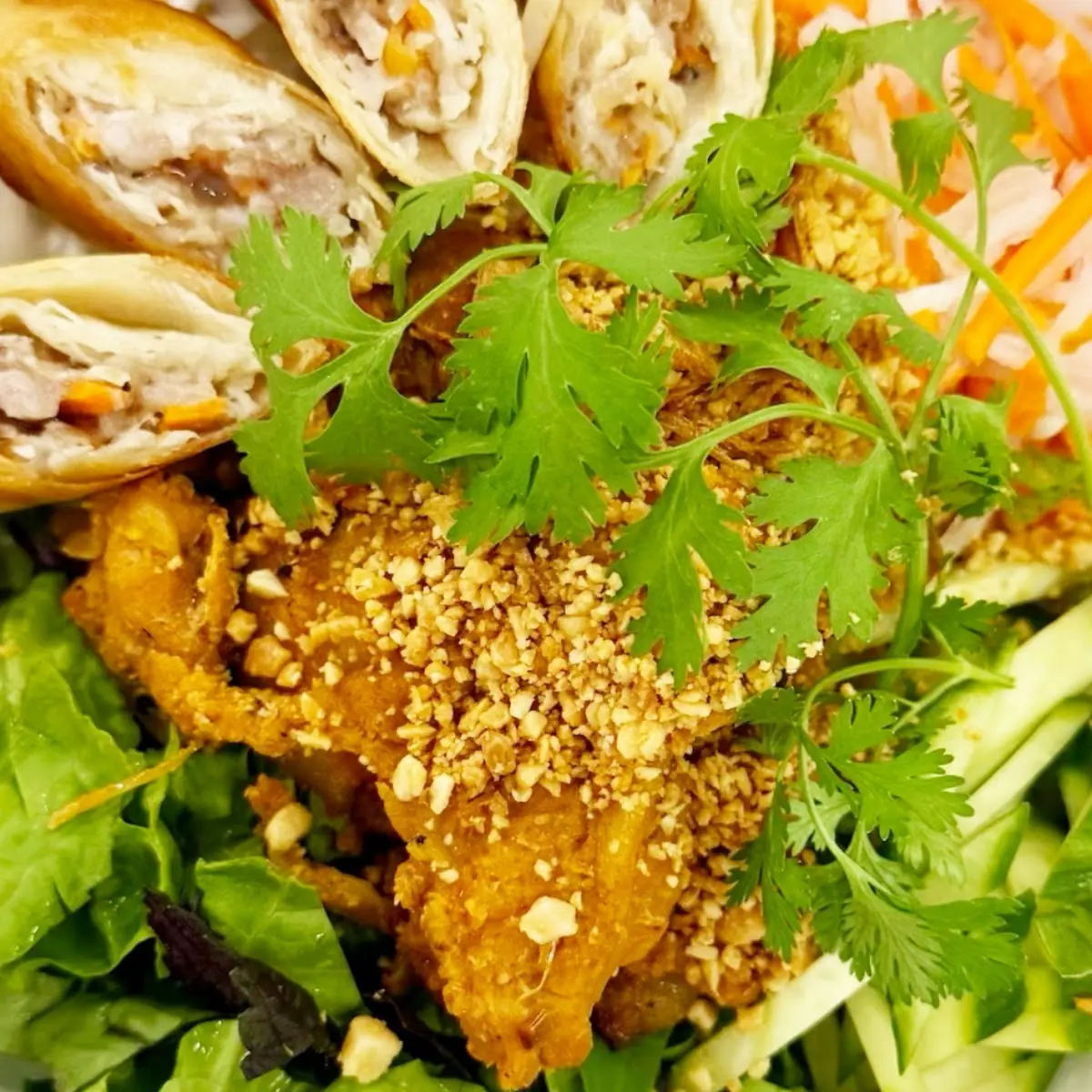 Vermicelli