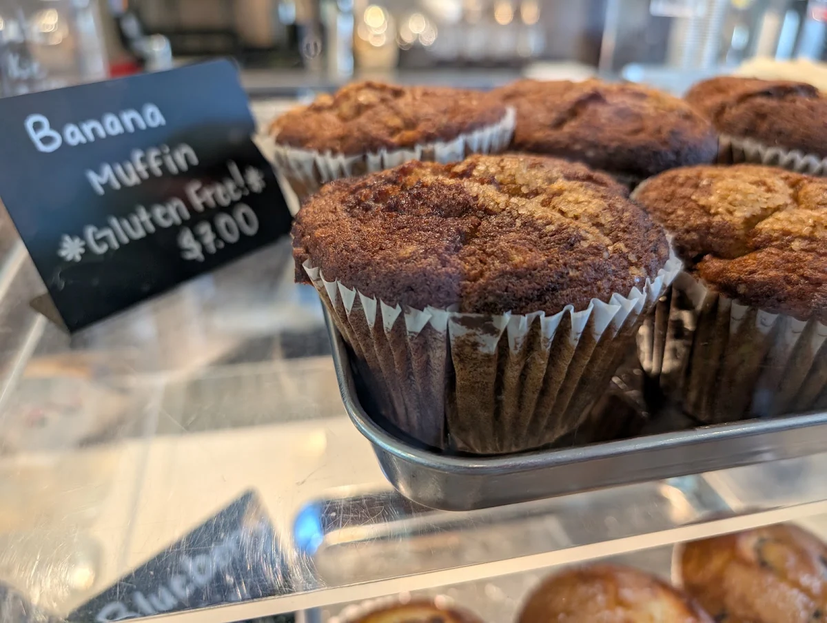 Chocolate Muffin