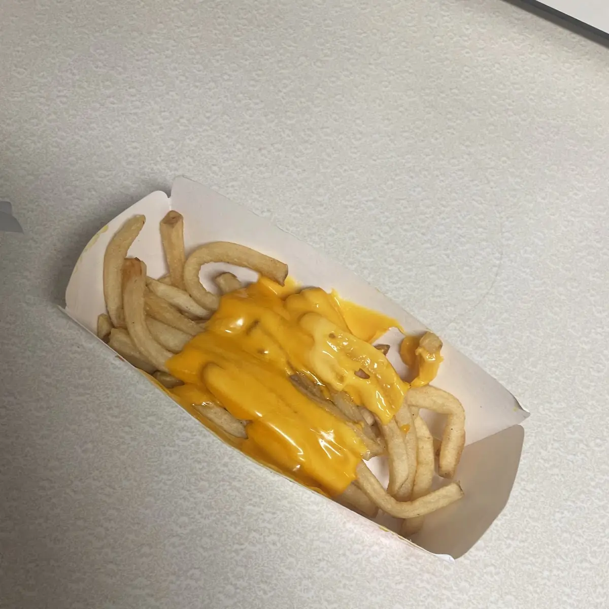 Chili Cheese Fries