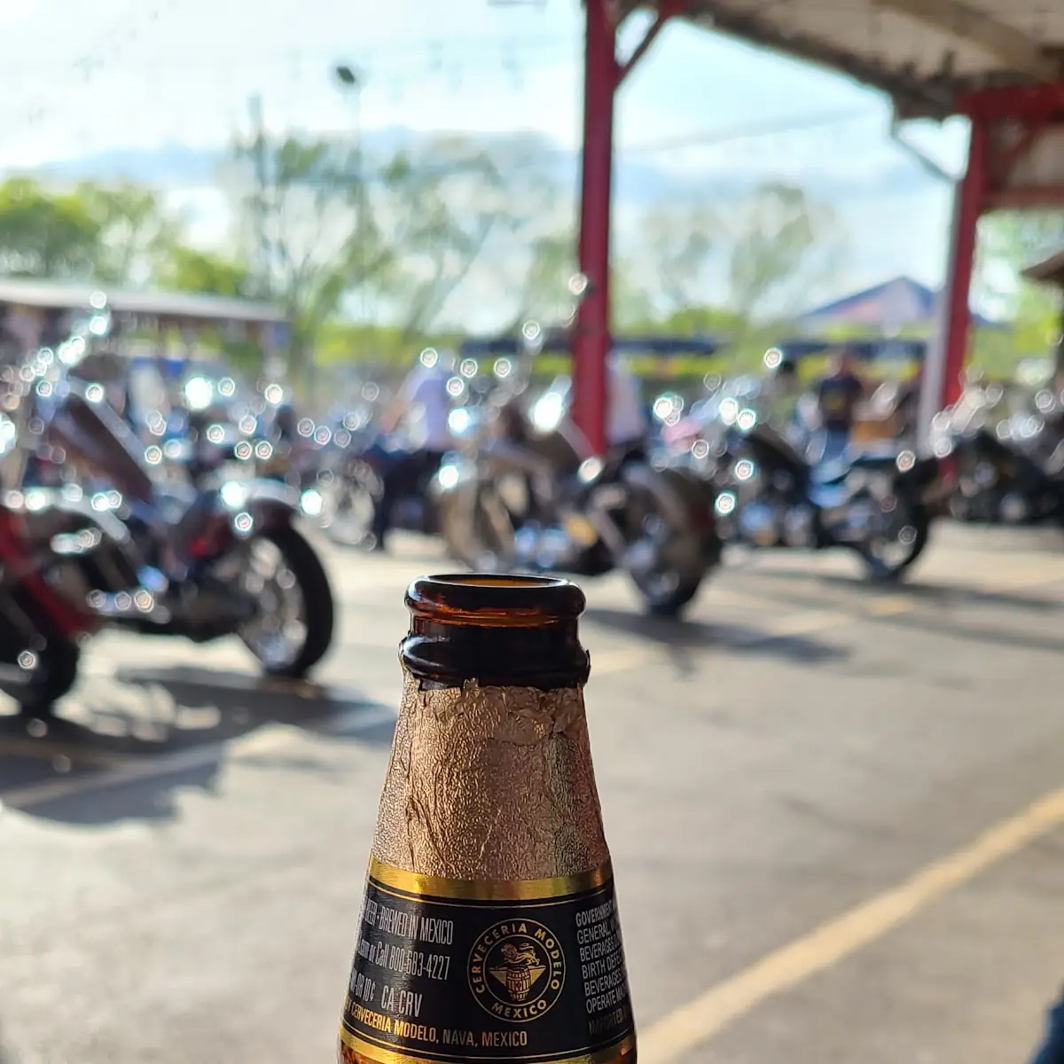 Modelo Negra Modelo