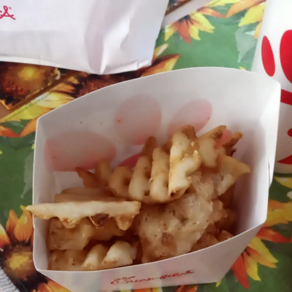 Papas Fritas