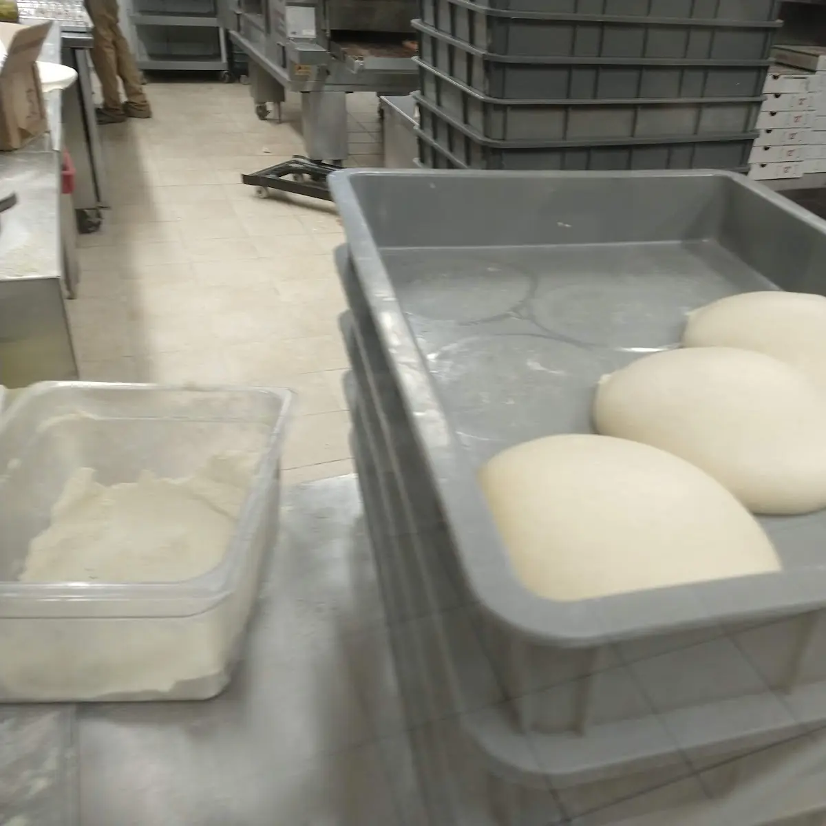 Pizza Dough