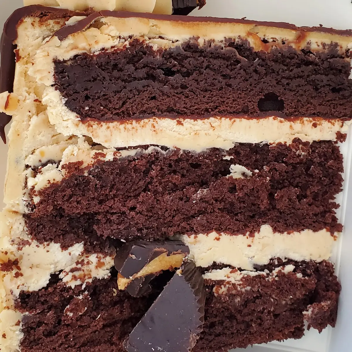 Chocolate Peanut Butter Cake