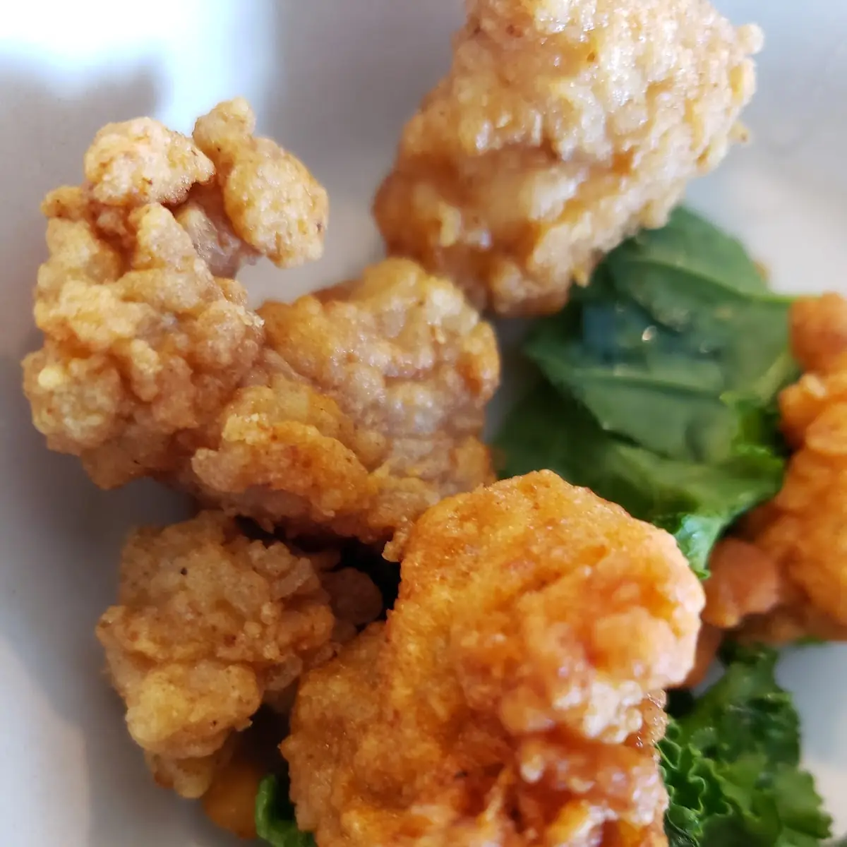 Gator Bites