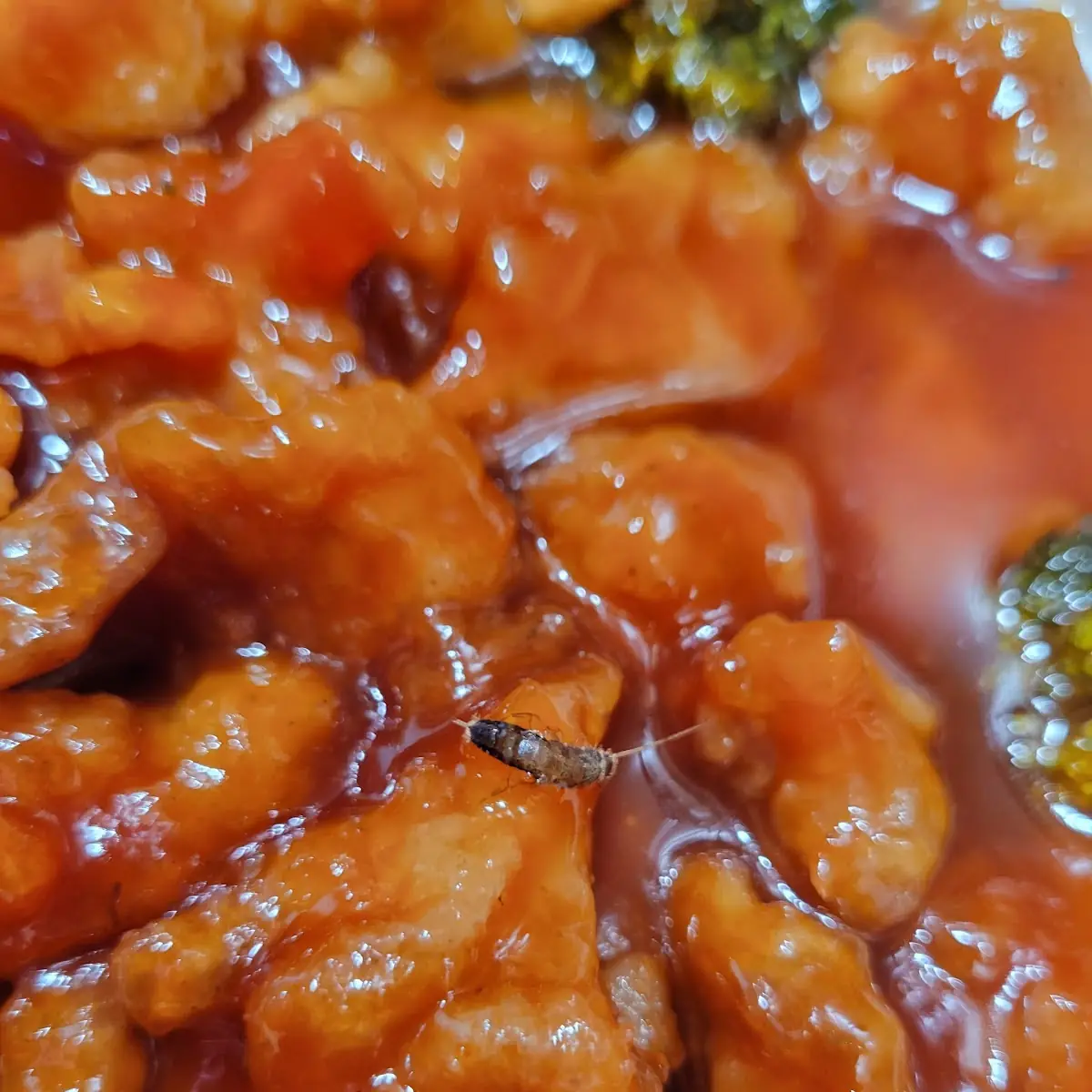 Orange Chicken