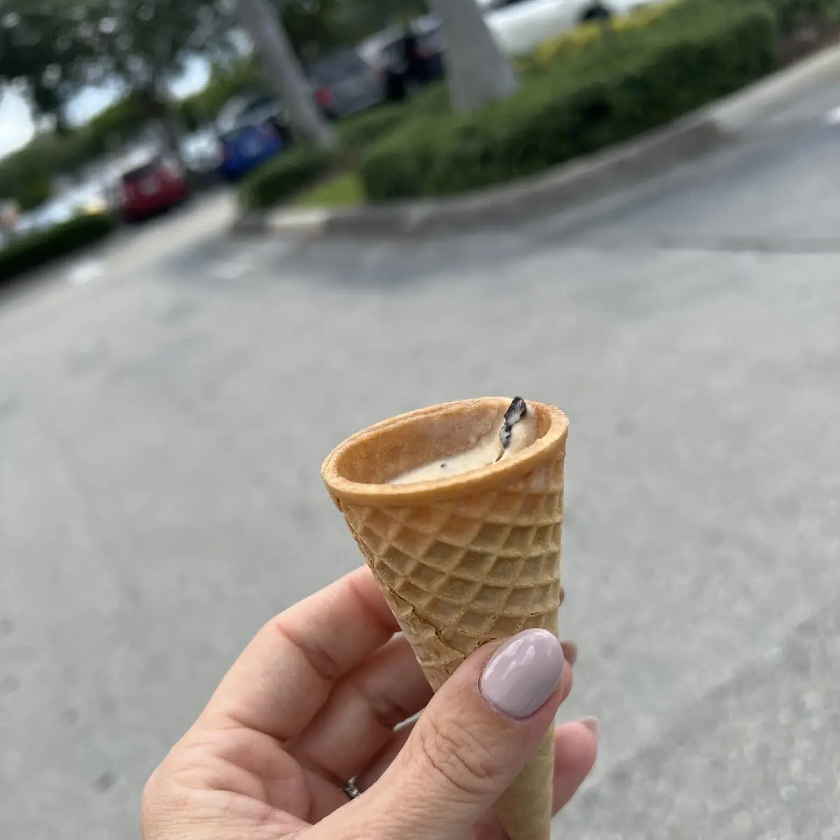 Waffle Cone