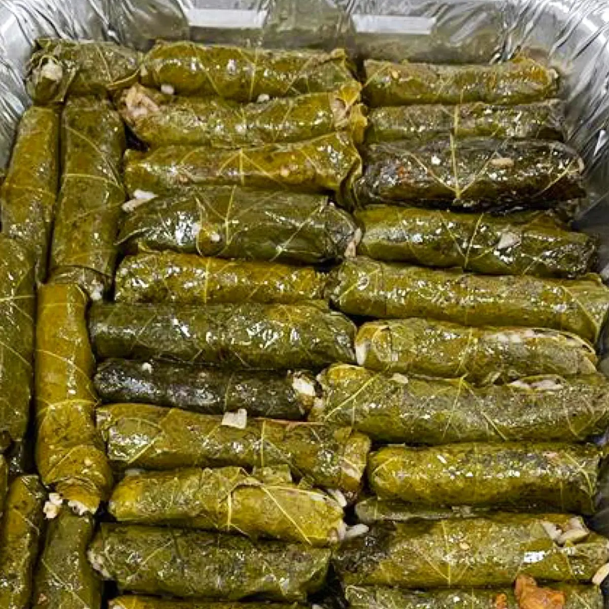 Grape Leaves