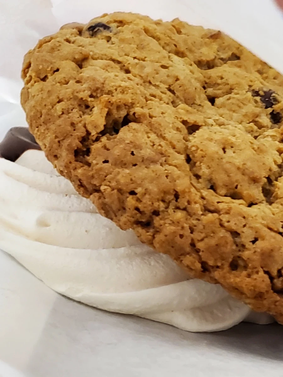 Cranberry Oatmeal Cookie