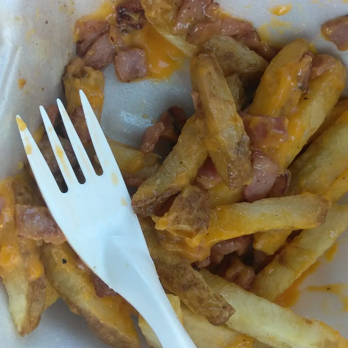 Loaded Fries