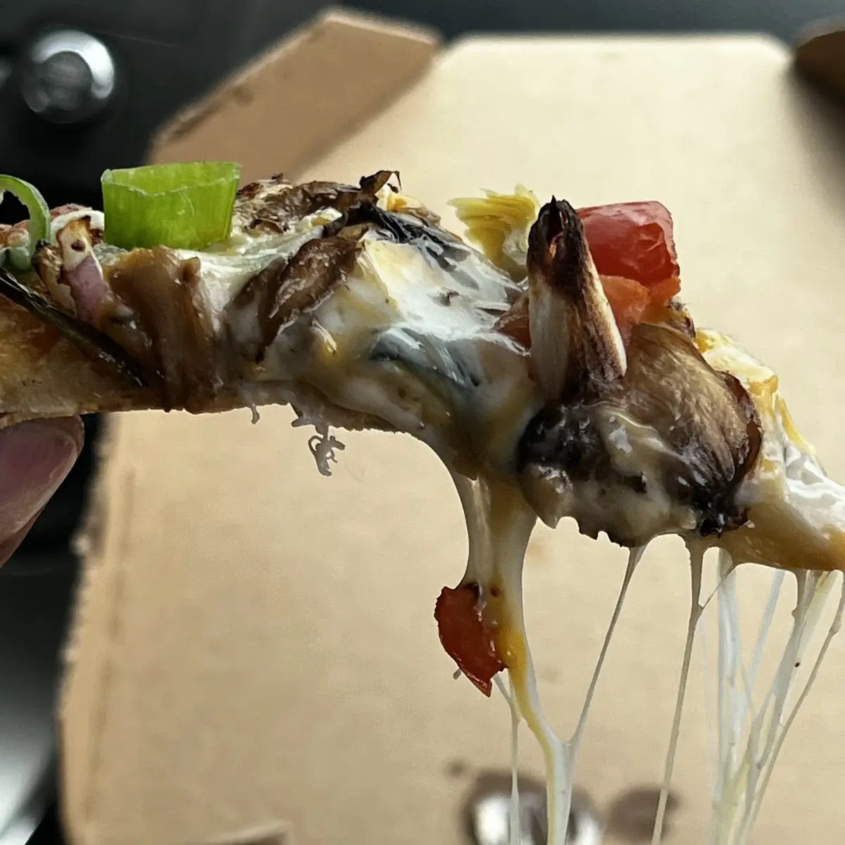 Gourmet Veggie Pizza