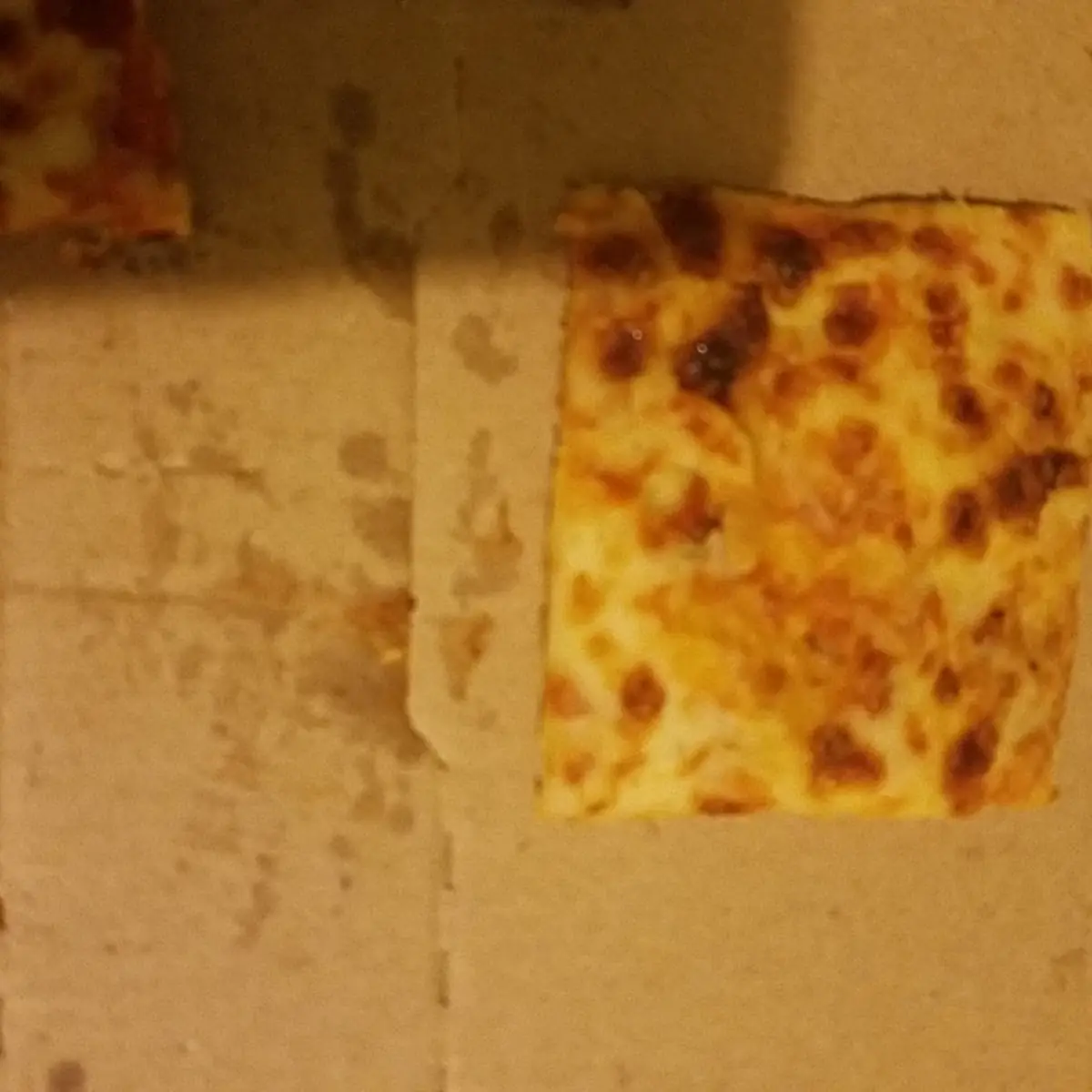 Round Pizza Cut