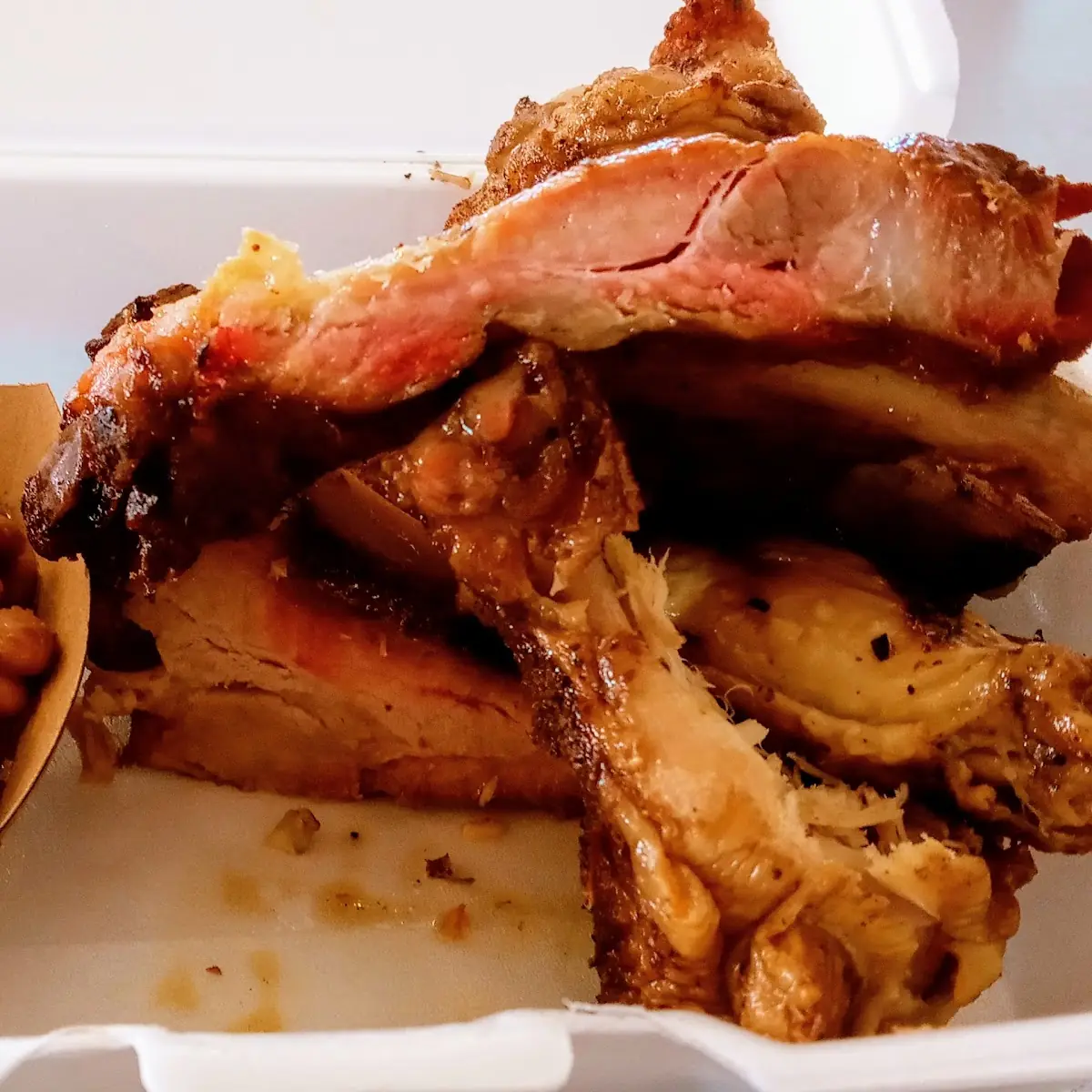 Ribs and Wing Combo
