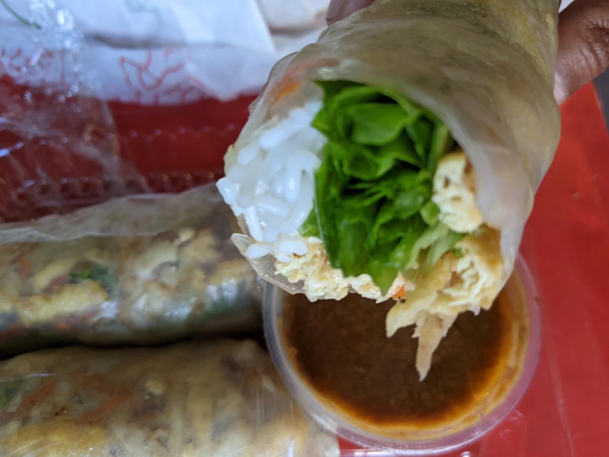 Tofu House Spring Rolls