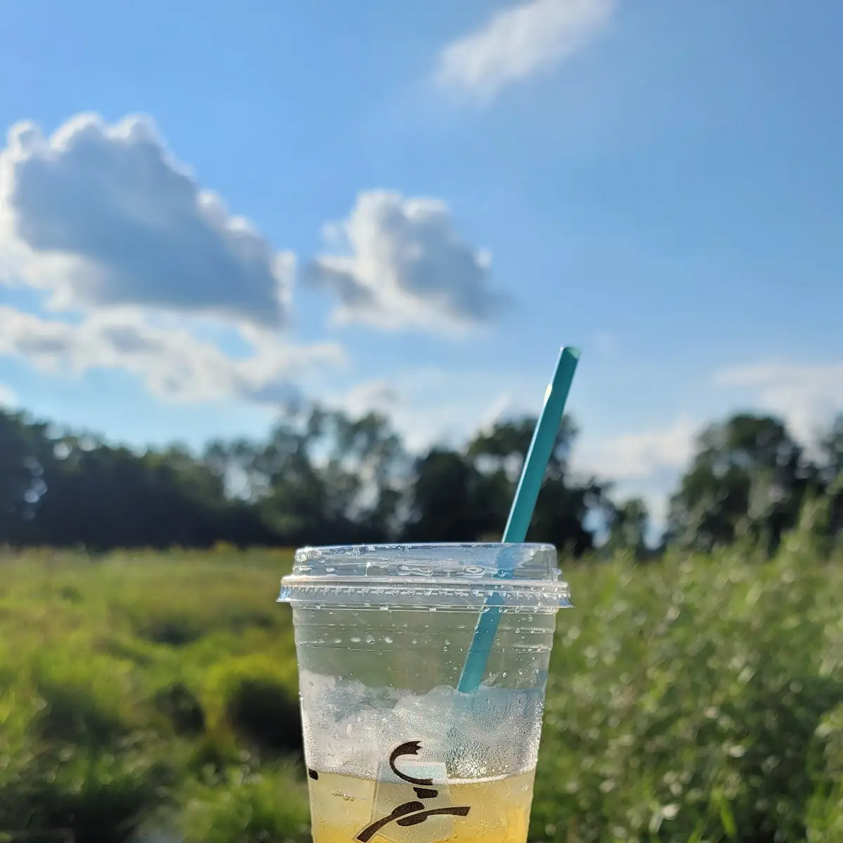 Green Tea Lemonade