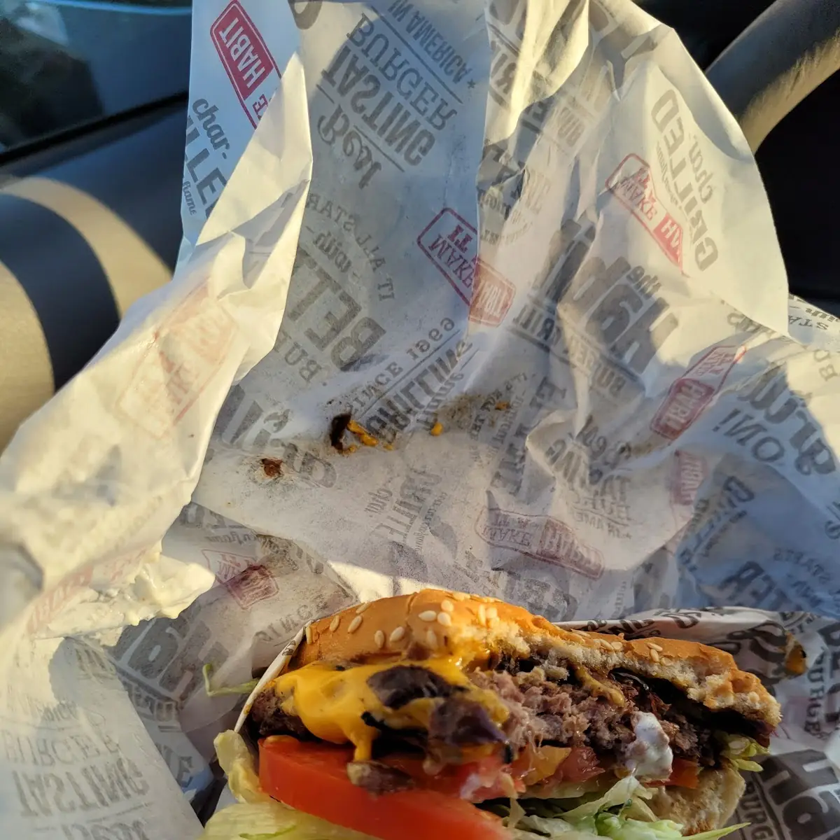 Char Grilled Cheese Burger