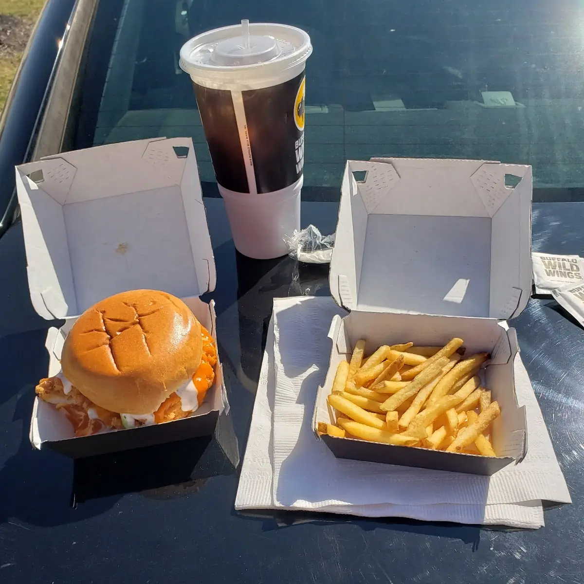 Cold Chicken Sandwich Combo