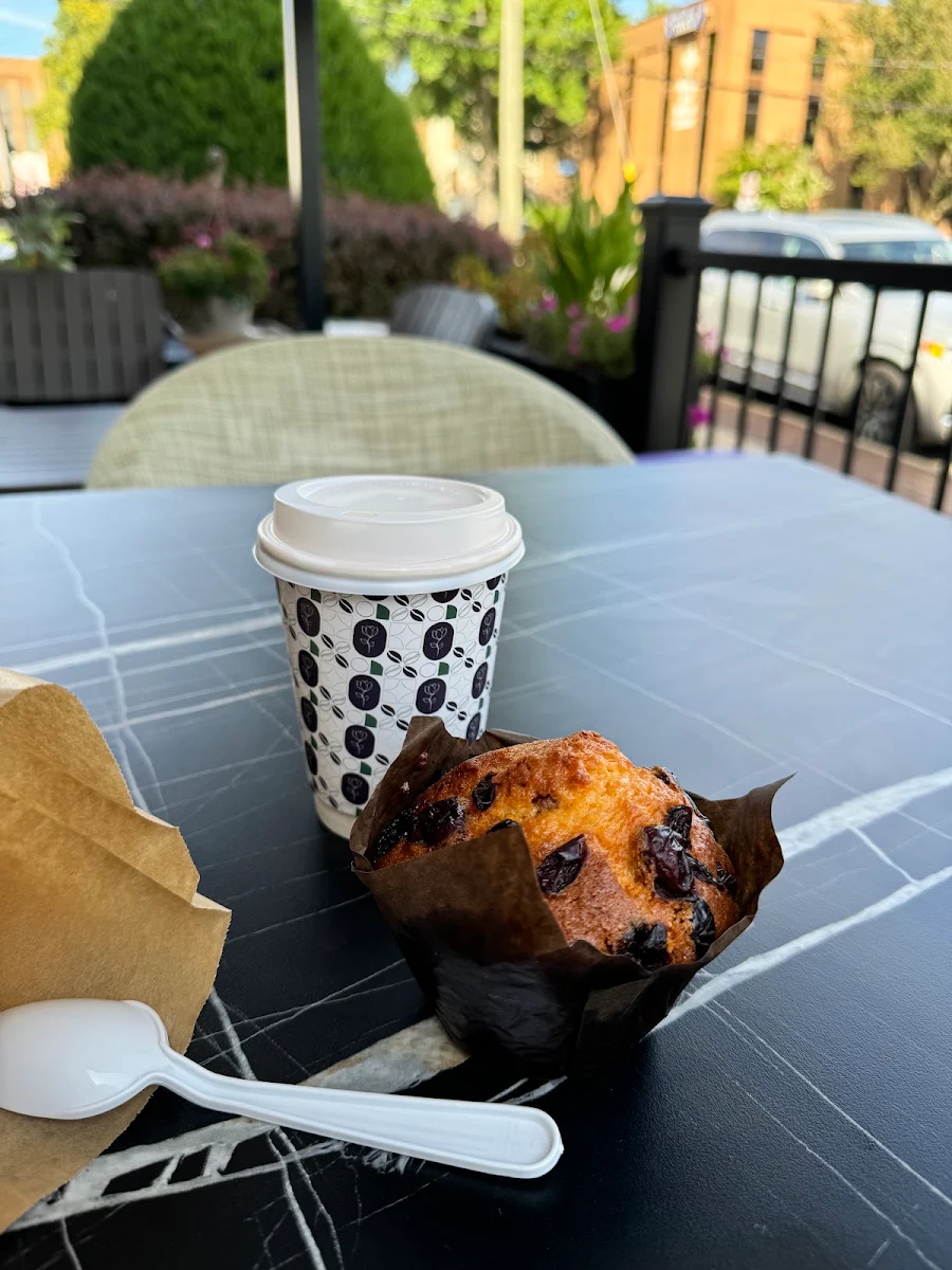 Blueberry Muffin